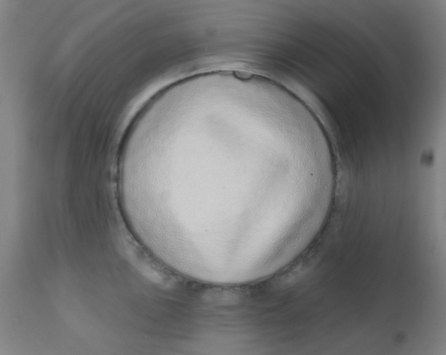 X0000110721051200907022041