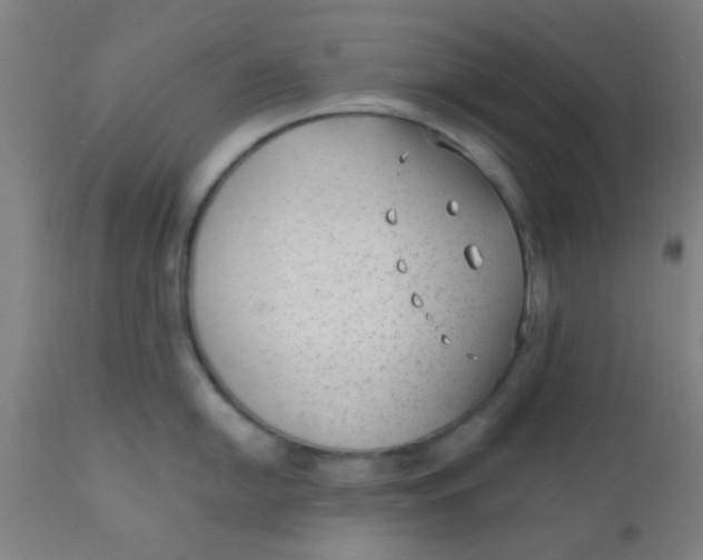 X0000110721054200907022041