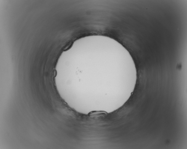 X0000110721057200907022041