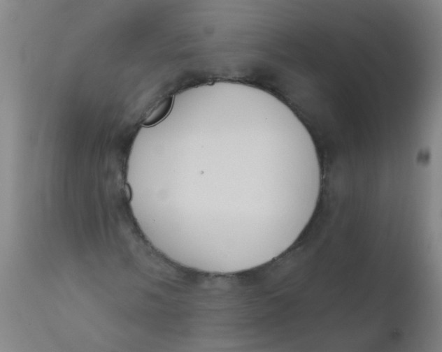 X0000110721058200907022041