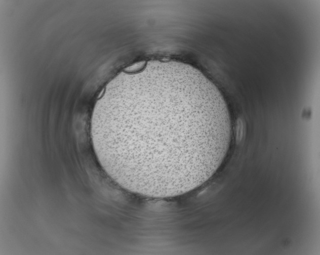 X0000110721059200907022041