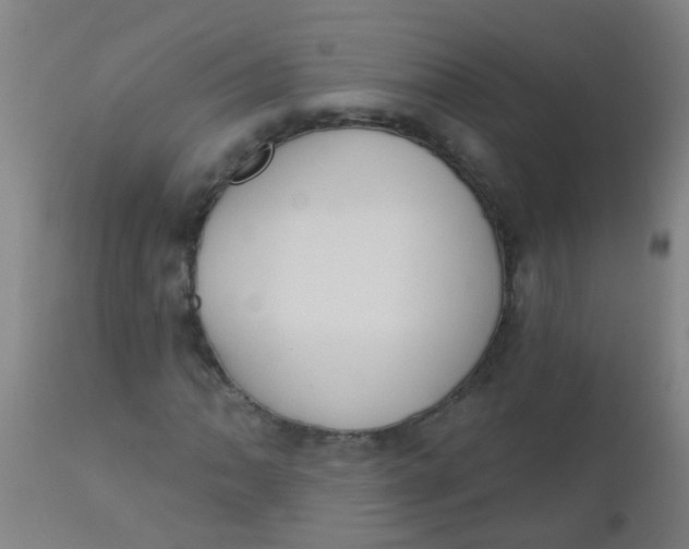 X0000110721062200907022041