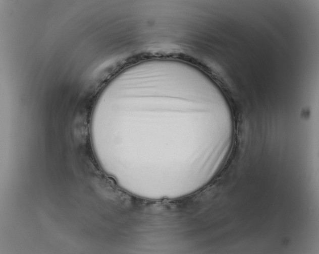 X0000110721063200907022041