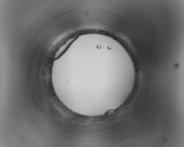 X0000110721064200907022041