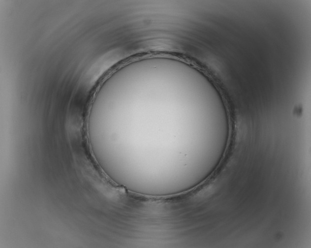 X0000110721065200907022041