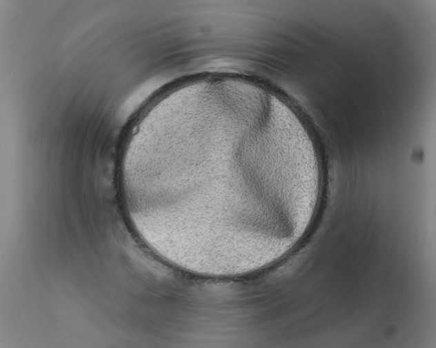 X0000110721066200907022041