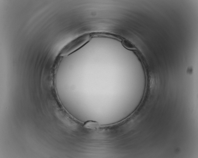 X0000110721069200907022041