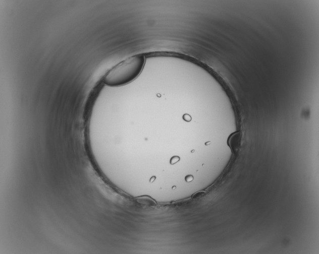 X0000110721072200907022040