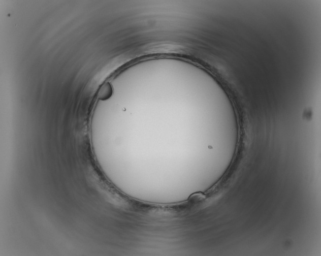 X0000110721073200907022040