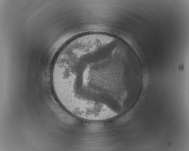 X0000110721074200907022040