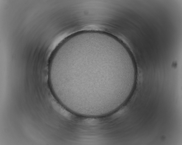 X0000110721075200907022040