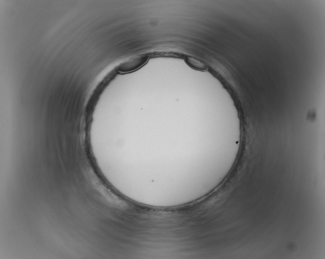 X0000110721076200907022040