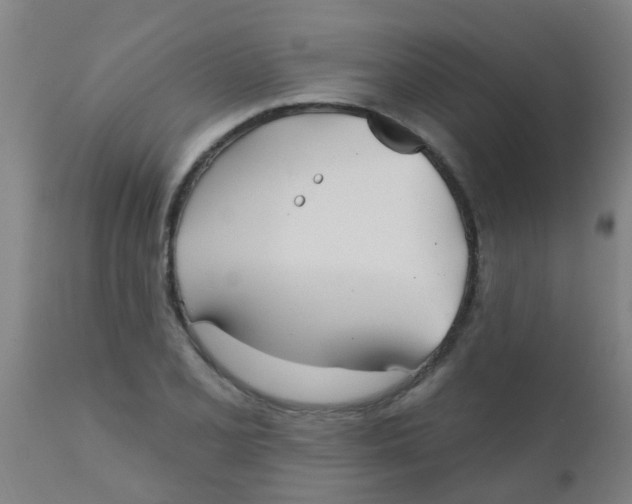 X0000110721077200907022040