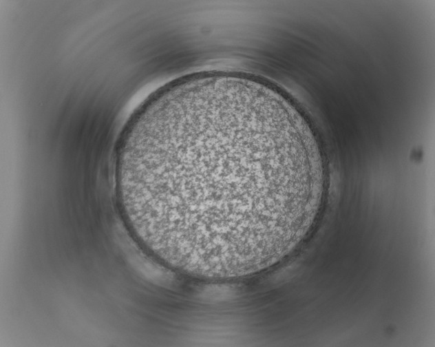 X0000110721078200907022040