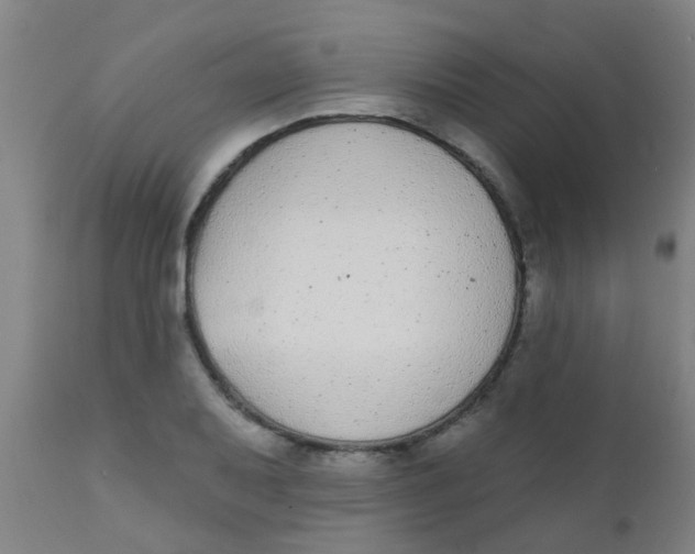 X0000110721079200907022040