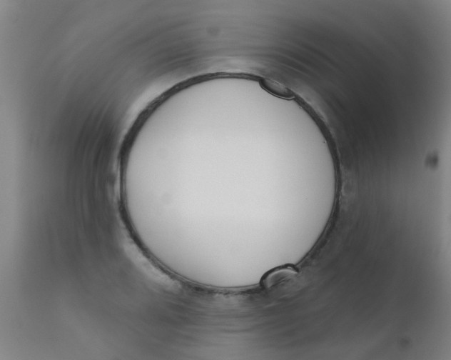 X0000110721080200907022040