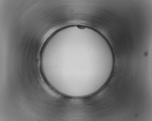 X0000110721082200907022040