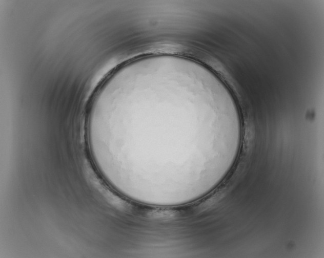 X0000110721083200907022040