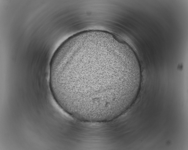 X0000110721084200907022040