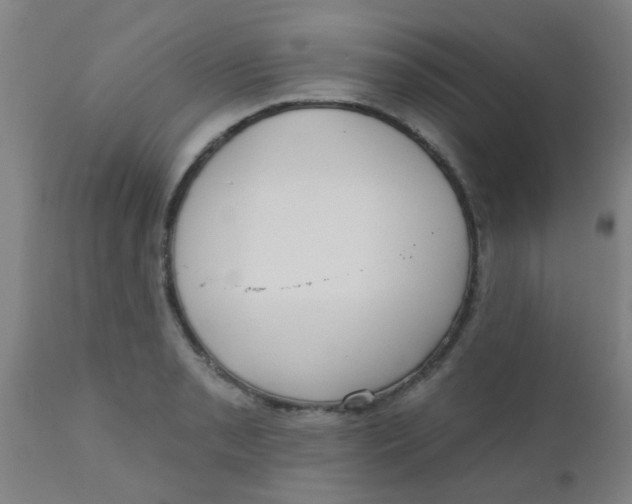 X0000110721085200907022040