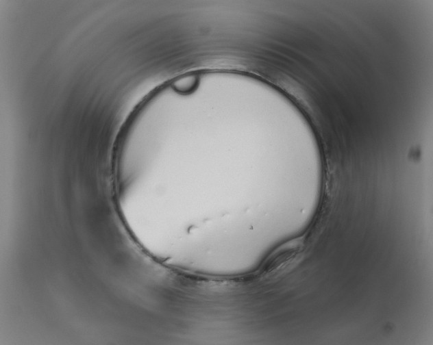 X0000110721087200907022040