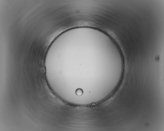 X0000110721089200907022040