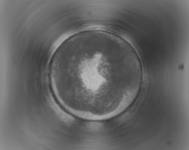 X0000110721090200907022040