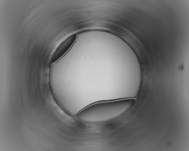 X0000110721092200907022040