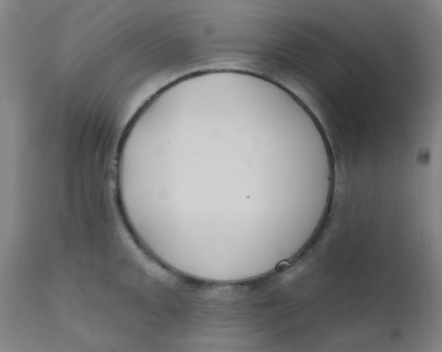 X0000110721093200907022040