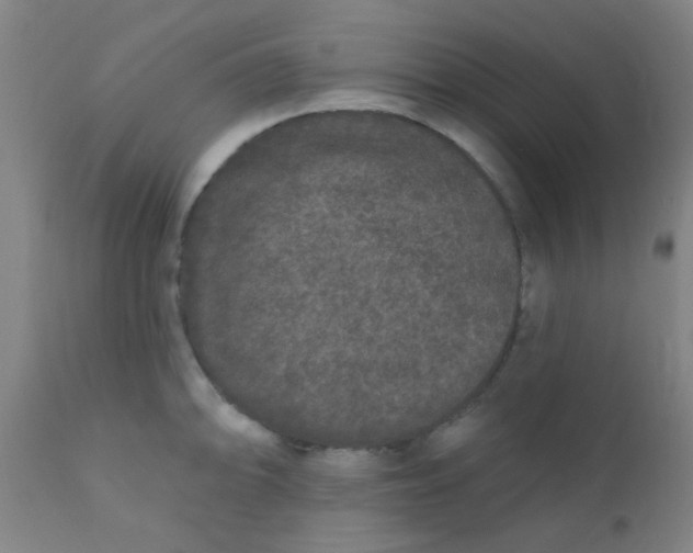 X0000110721094200907022040