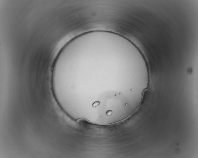 X0000110721096200907022040