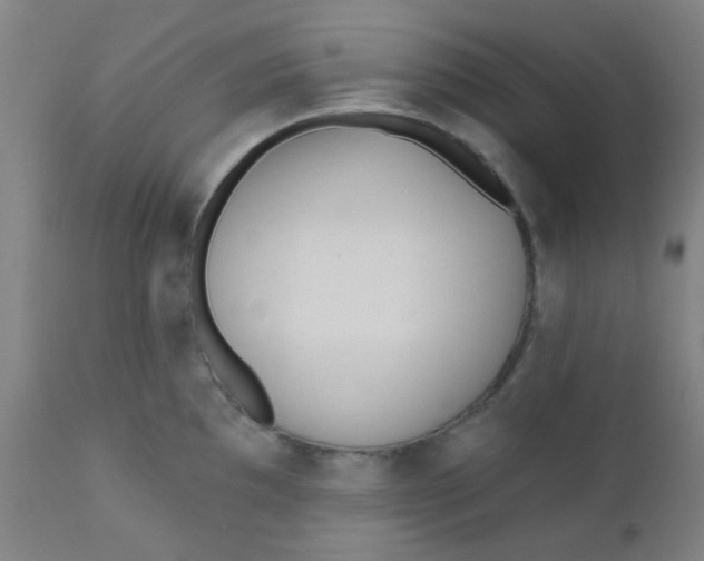 X0000110721097200907022040