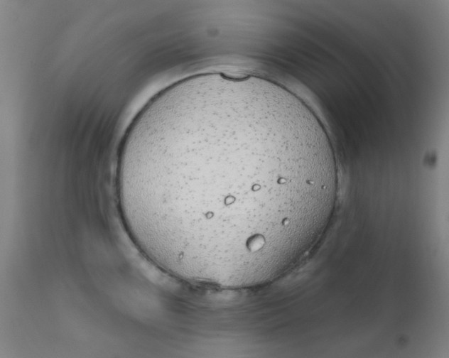 X0000110721099200907022040