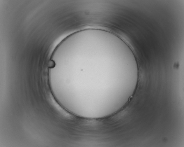 X0000110721100200907022040