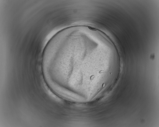 X0000110721102200907022040