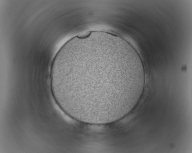 X0000110721103200907022040