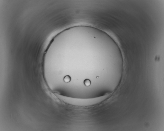 X0000110721104200907022040