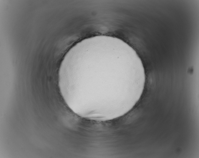 X0000110721105200907022039