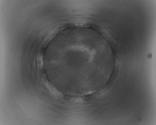 X0000110721106200907022039