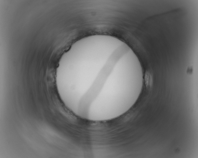 X0000110721107200907022039