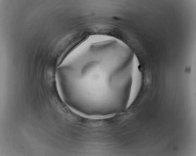 X0000110721108200907022039