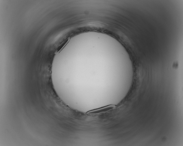 X0000110721110200907022039