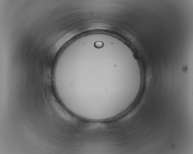 X0000110721113200907022039