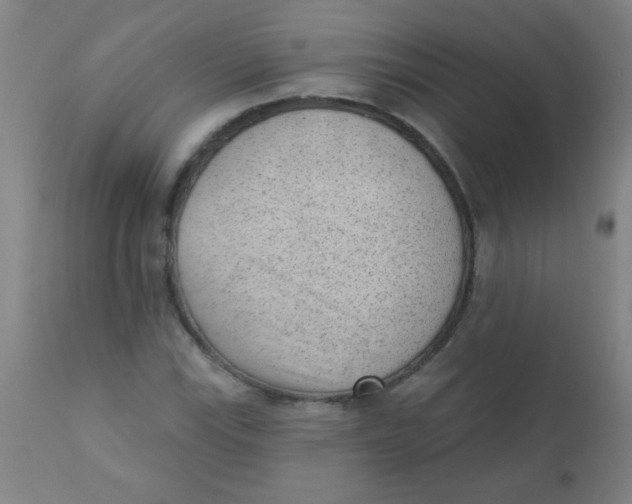 X0000110721115200907022040