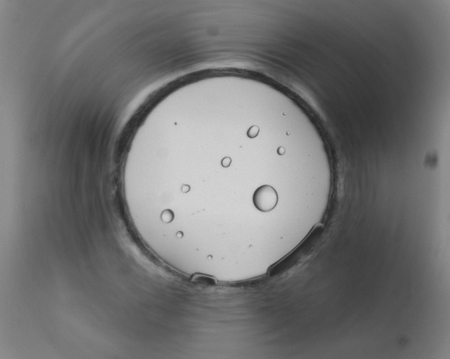 X0000110721116200907022040