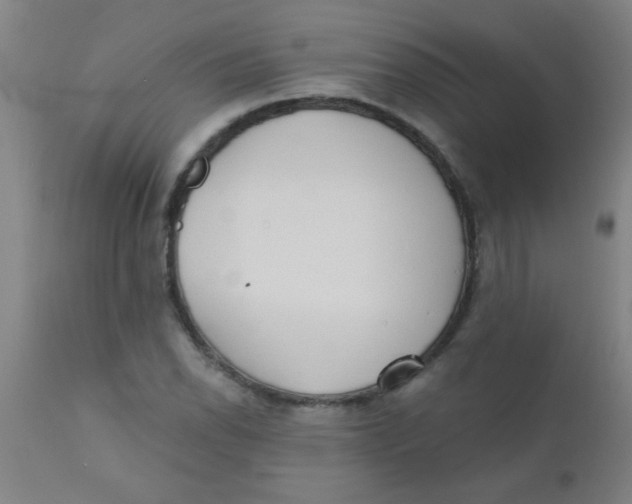 X0000110721118200907022040