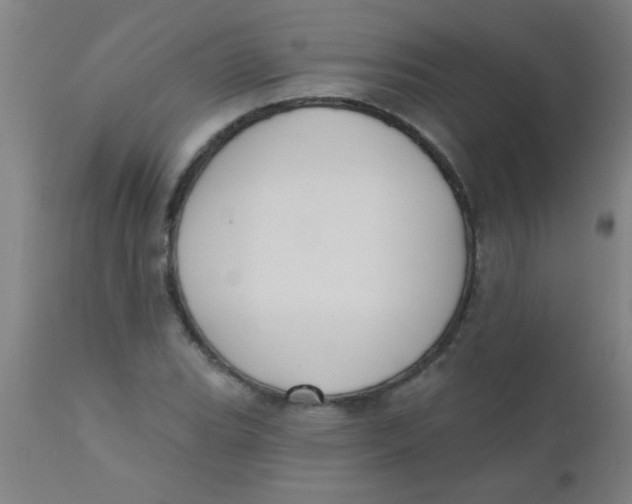 X0000110721119200907022040