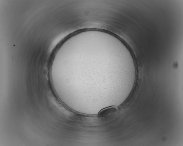 X0000110721120200907022040