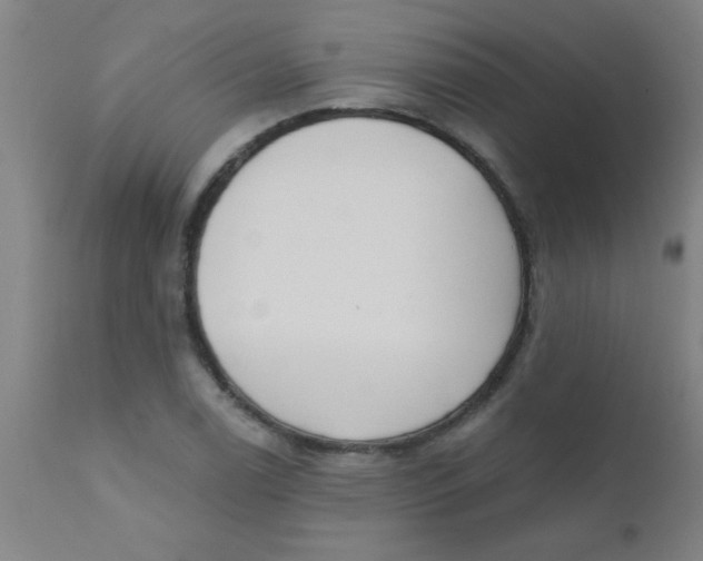 X0000110721122200907022040