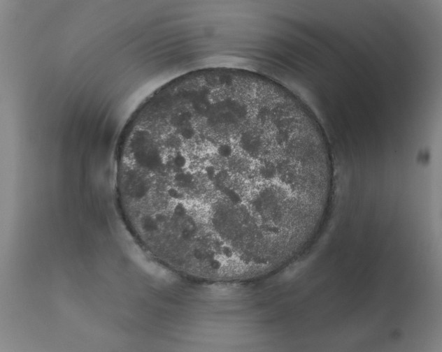 X0000110721125200907022040